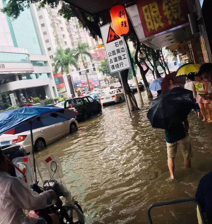 肇庆台风最新动态，影响及应对策略