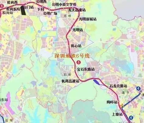 深圳地铁12号线最新线路图，揭示城市发展脉络与未来展望